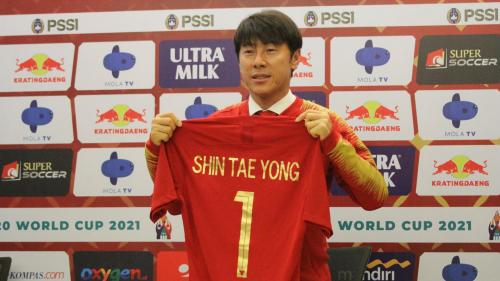 Profil Shin Tae Yong, Harapan Baru Tim Nasional Indonesia